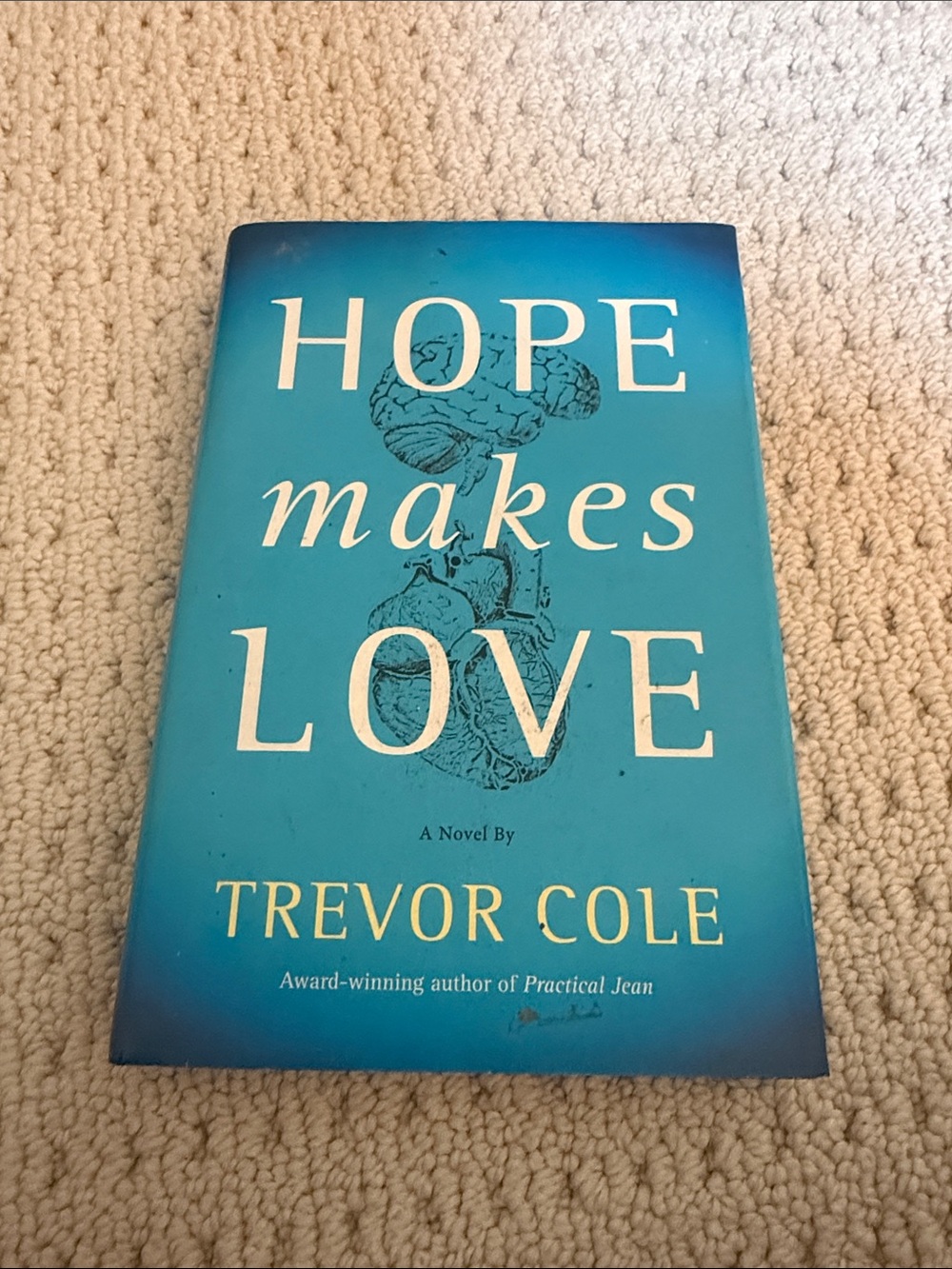 Hope Makes Love by Trevor Cole - Teal Blue Hardcover Novel
